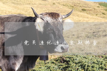 党员违纪违法定期排查 党员违纪违法定期排查