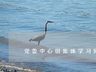 党委中心组集体学习宪法 党委中心组集体学习宪法