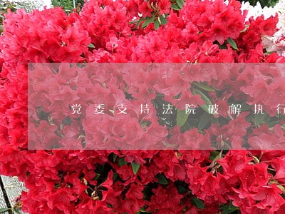 党委支持法院破解执行难纪实 党委支持法院破解执行难纪实