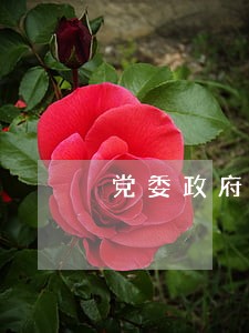 党委政府法律顾问制度 党委政府法律顾问制度