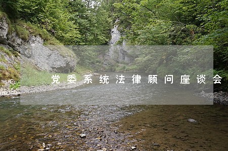 党委系统法律顾问座谈会 党委系统法律顾问座谈会