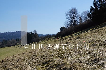 党建执法规范化建设 党建执法规范化建设