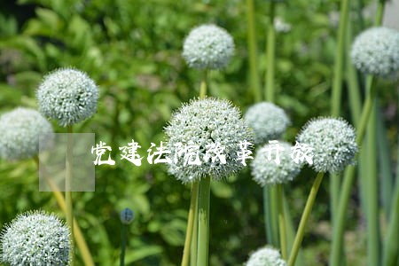 党建法院改革开放 党建法院改革开放