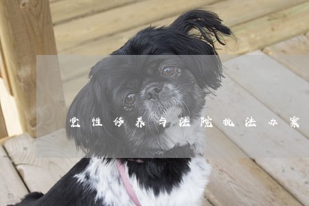 党性修养与法院执法办案