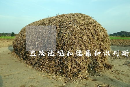 党政法规和德廉知识判断题 党政法规和德廉知识判断题