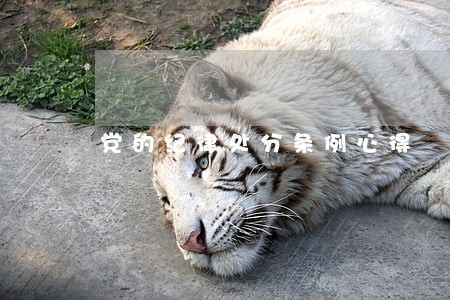 党的纪律处分条例心得 党的纪律处分条例心得