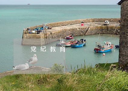 党纪教育