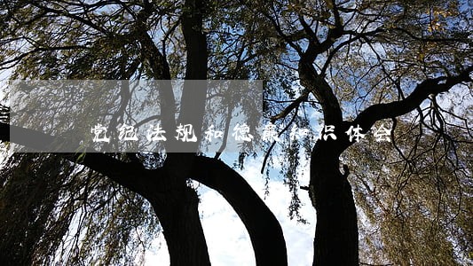 党纪法规和德廉知识体会 党纪法规和德廉知识体会