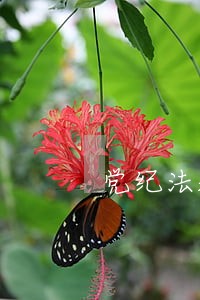 党纪法规题库 党纪法规题库
