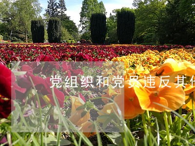 党组织和党员违反其他法规 党组织和党员违反其他法规