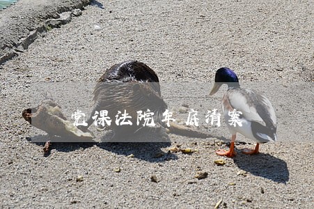 党课法院年底清案 党课法院年底清案