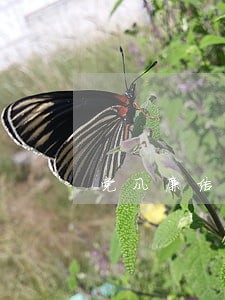 党风廉洁建设法规知识答题答案 党风廉洁建设法规知识答题答案