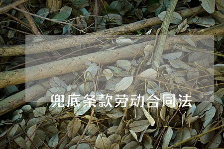 兜底条款劳动合同法 兜底条款劳动合同法