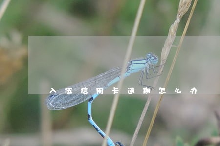 入伍信用卡逾期怎么办 入伍信用卡逾期怎么办