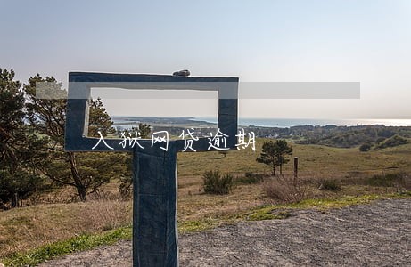 入狱网贷逾期 入狱网贷逾期