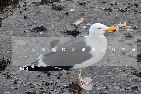 入职体检要求查乙肝三系违法吗 入职体检要求查乙肝三系违法吗