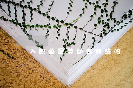 入职单是劳动合同法吗 入职单是劳动合同法吗