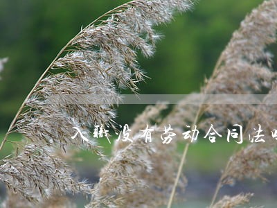 入职没有劳动合同法吗 入职没有劳动合同法吗