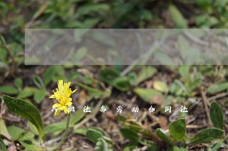 入职法务劳动合同法 入职法务劳动合同法