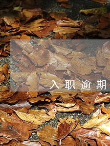 入职逾期信用卡情况说明 入职逾期信用卡情况说明