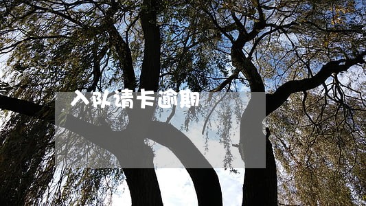 入队请卡逾期
