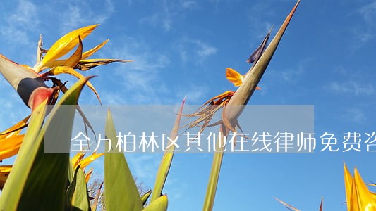 全万柏林区其他在线律师免费咨询 全万柏林区其他在线律师免费咨询