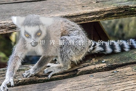 全世界最有价值的律师证 全世界最有价值的律师证