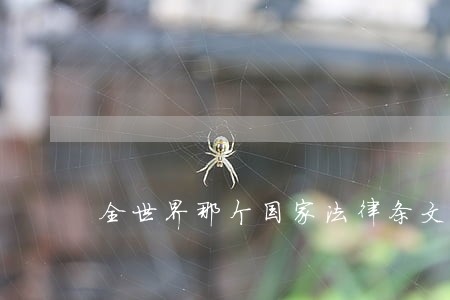 全世界那个国家法律条文最多