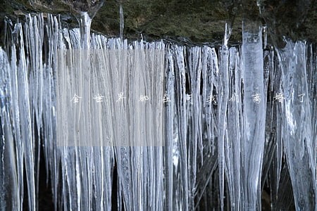 全世界都在问我们离婚了吗 全世界都在问我们离婚了吗