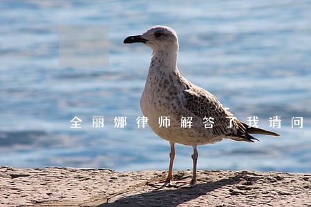全丽娜律师解答了我请问律师 全丽娜律师解答了我请问律师