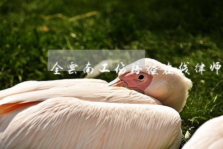 全云南工伤赔偿在线律师免费咨询 全云南工伤赔偿在线律师免费咨询