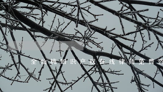 全仙桃知识产权在线律师免费咨询