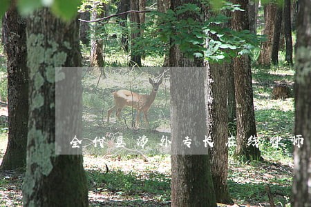 全代县涉外专长在线律师免费咨询 全代县涉外专长在线律师免费咨询