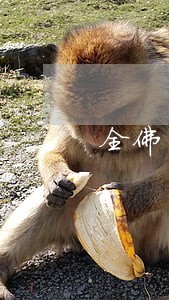 全佛山银行纠纷在线律师免费咨询 全佛山银行纠纷在线律师免费咨询