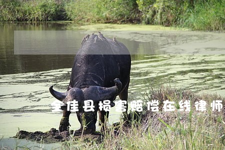 全佳县损害赔偿在线律师免费咨询 全佳县损害赔偿在线律师免费咨询