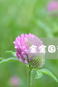 全全国劳动纠纷在线律师免费咨询