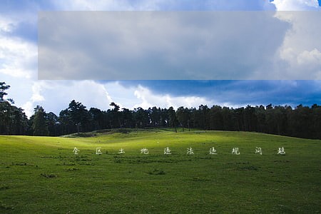 全区土地违法违规问题 全区土地违法违规问题