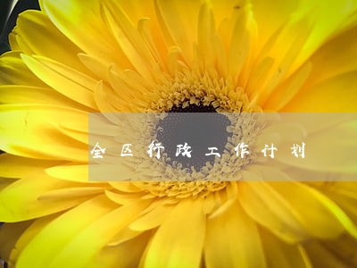 全区行政工作计划 全区行政工作计划