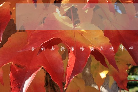 全南县损害赔偿在线律师 全南县损害赔偿在线律师