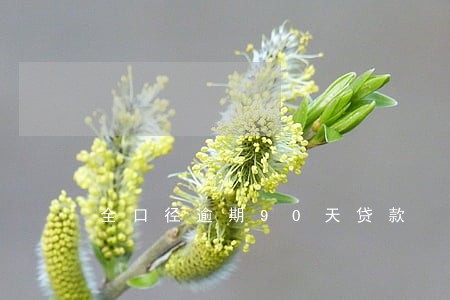全口径逾期90天贷款 全口径逾期90天贷款