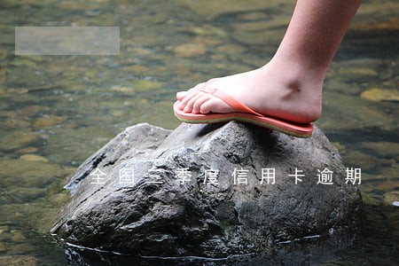 全国三季度信用卡逾期 全国三季度信用卡逾期