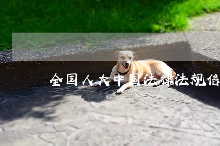 全国人大中国法律法规信息库 全国人大中国法律法规信息库