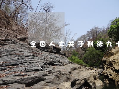 全国人大关于刑法九十三条 全国人大关于刑法九十三条