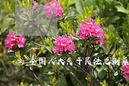 全国人大关于民法总则草案说明 全国人大关于民法总则草案说明