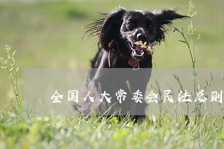 全国人大常委会民法总则条文 全国人大常委会民法总则条文