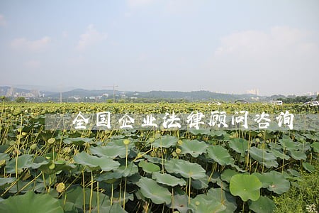 全国企业法律顾问咨询 全国企业法律顾问咨询