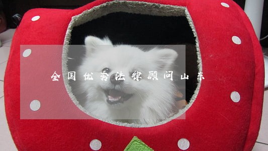 全国优秀法律顾问山东 全国优秀法律顾问山东