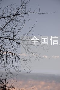 全国信用信息公示系统逾期