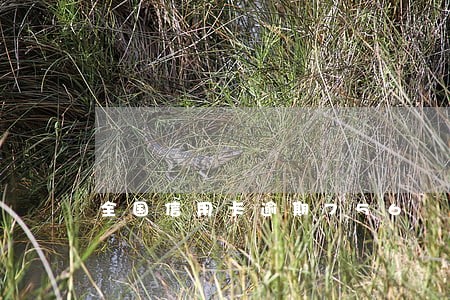 全国信用卡逾期756 全国信用卡逾期756