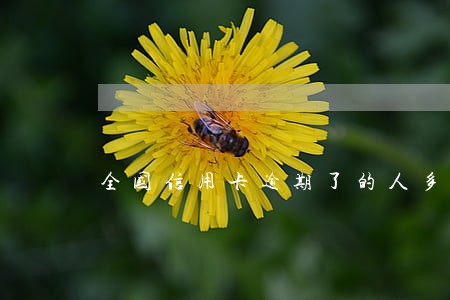 全国信用卡逾期了的人多吗 全国信用卡逾期了的人多吗